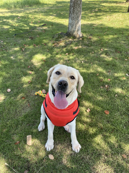 Pet Clothes Dog Warm Winter Jacket with Harness Build in For Large Medium Small Dogs Winter Pet Supplies Kids Gifts