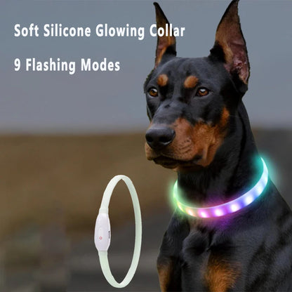 the GLOWGUARD COLLAR - USB Rechargeable Glowing Collar for Large and Small Dogs, LED Glowing Dog Collar - 9 Flashing Modes - Adjustable Soft Silicone Collar
