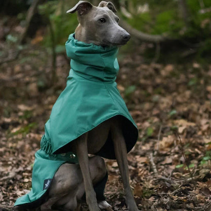 the DOBBIN DOG - Spring and Autumn Outing Breathable and Comfortable Dobbin Dog Clothes, Casual Warm Pet Raincoat Leisure Dog Cloak Raincoat