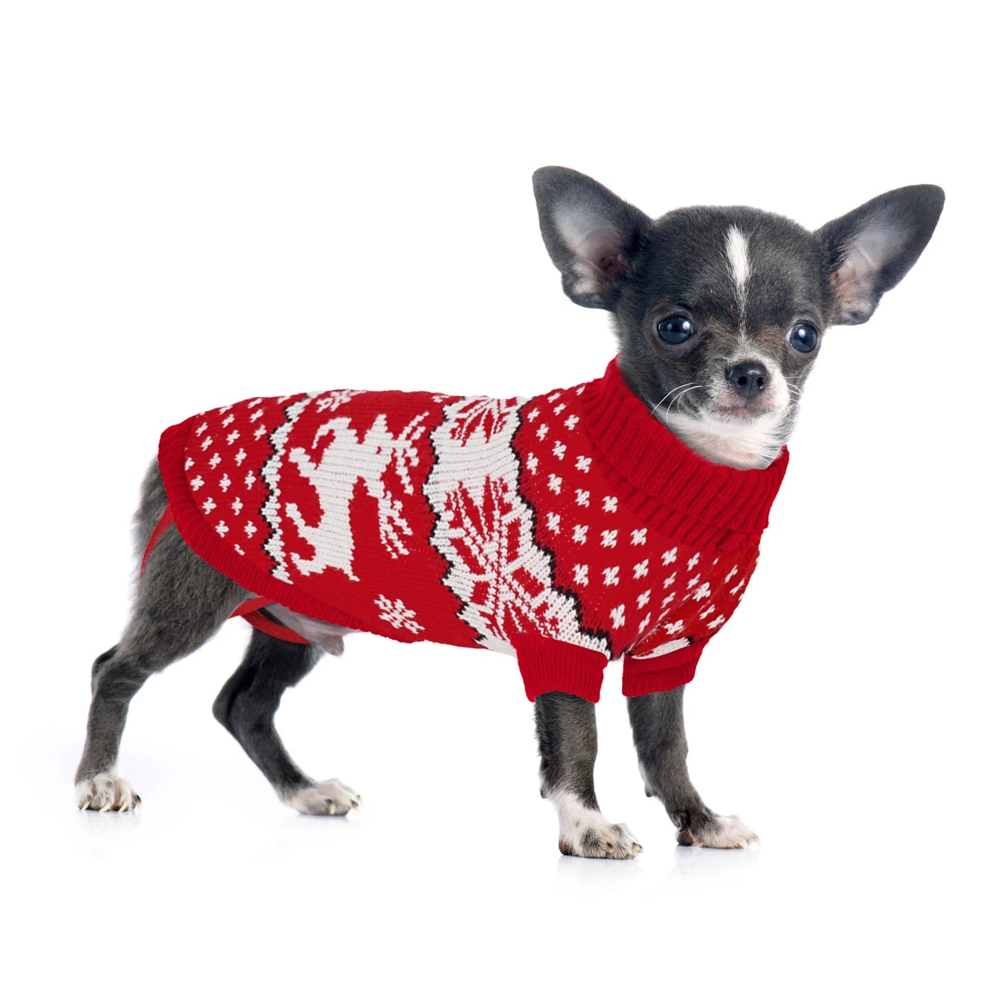 the COZY CLAUS PAW SWEATER - Dog Winter Clothing, Christmas Celebration Clothes, Knitted Pet Clothing Suitable for Small to Medium-Sized Dogs Pet Sweater