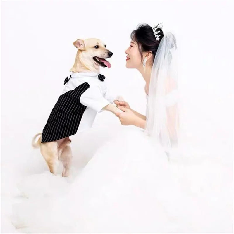 French Bulldog Pet Party Suit Tuxedo Weeding Formal Dog Clothes for Small Dogs Clothing Puppy Pug Corgi Shirts mascotas Costume