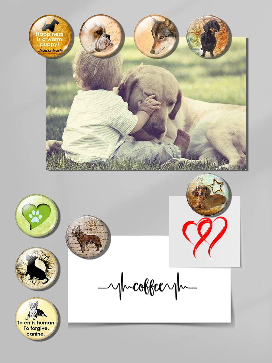 Yellow Brown Dachshund 30MM Fridge Magnet Handmade Weiner Dog Glass DomeRefrigerator Magnets Sticker Cute Animals Kitchen Decor