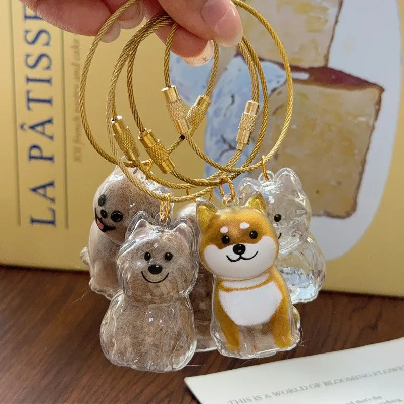 Dog Hair Storage Pendant Keychain Transparent Pet Fur Keepsake Capsule DIY Decoration Memorial Gifts for Pet Lovers Home Display