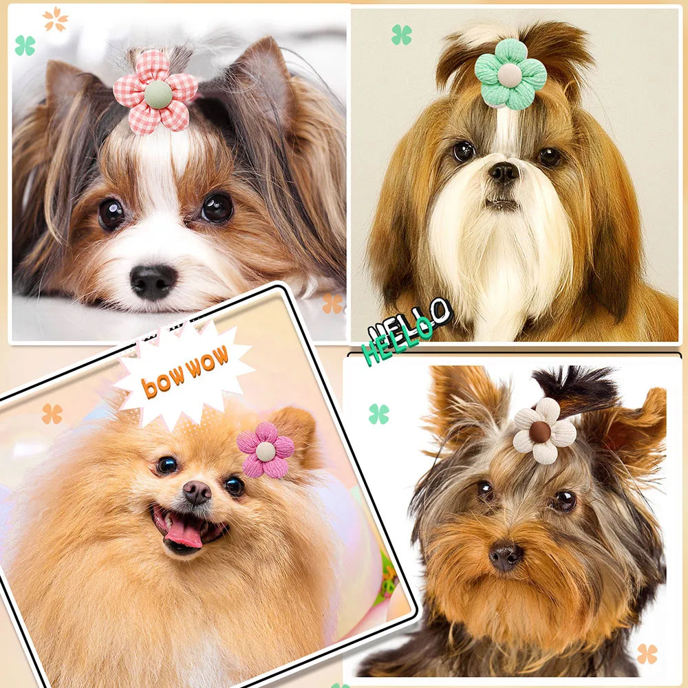 the FLOWER BOW - 10PCS Flower Shape Pet Hair Accessories for Dogs/Cats, Hair Decoration Flowers Rubber Bands, Bulk Puppy Grooming Accessories
