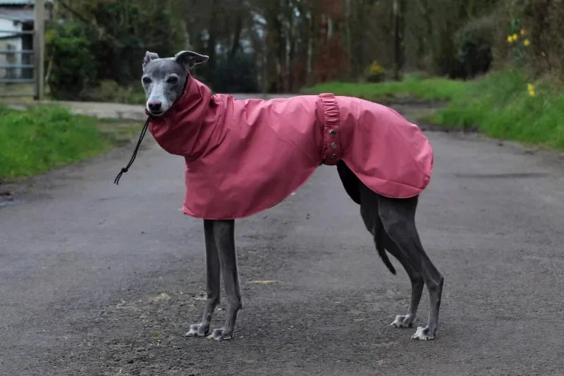 the DOBBIN DOG - Spring and Autumn Outing Breathable and Comfortable Dobbin Dog Clothes, Casual Warm Pet Raincoat Leisure Dog Cloak Raincoat