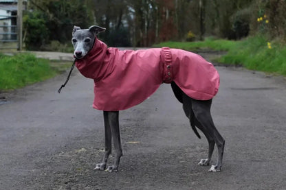 the DOBBIN DOG - Spring and Autumn Outing Breathable and Comfortable Dobbin Dog Clothes, Casual Warm Pet Raincoat Leisure Dog Cloak Raincoat