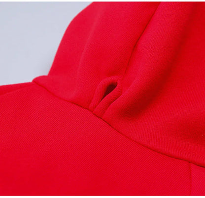 Small Medium Dog Hoodies Fleece-Lined Hooded Sweater, Autumn Winter Dog Clothes Puppy Pullover with  Leash Hole Pet Apparels