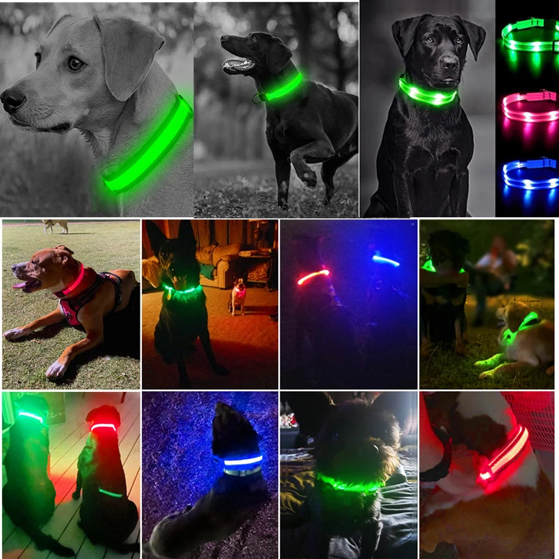 the TRIGLOW SAFETY COLLAR - 3 Modes Dog Luminous Charge Collar, Led USB Cat/Dogs Collars, Detachable Night LED Glow, Dog Loss Prevention Collar, Pet Accessories