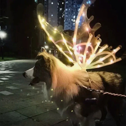 the GLOW WINGS - Dog Butterfly Wings, Pet Glowing Wings, Puppy Summer Clothes, Decorative Samoyed/Husky Medium Dogs