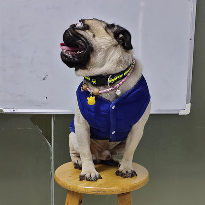 Winter Warm Dog Clothes for Small Dogs Puppy Cat Coat Soft Fleece Linner Pet Jacket Chihuahua Vest Pug Outfits Yorkie Costume