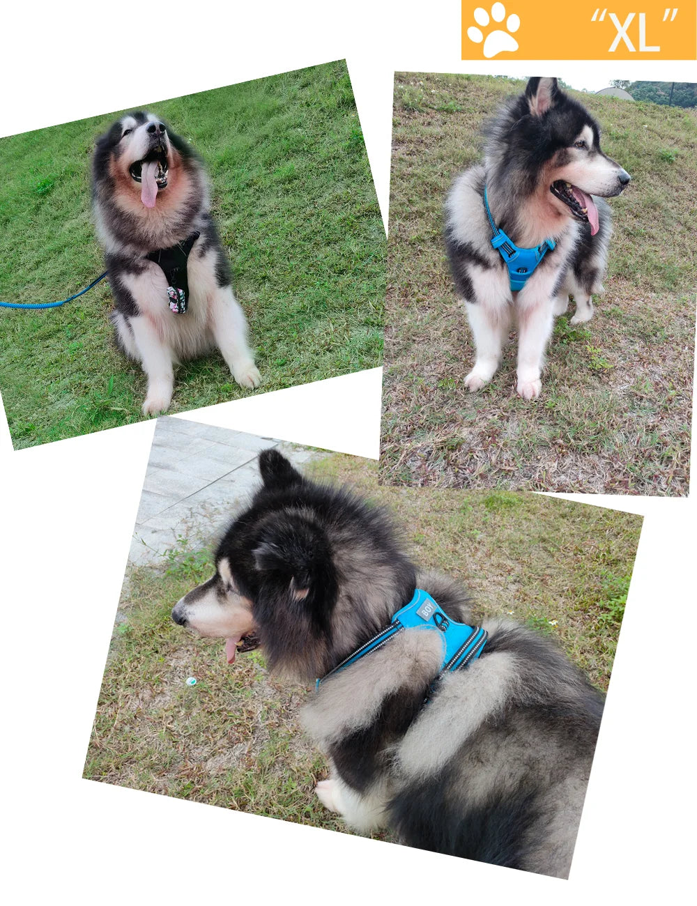 the REFLECTAGUARD PADDED HARNESS - Dog Harness, Pet Harness with Pull - 1 Leash Clip, Adjustable Padded Dog Vest, Reflective Non-Choking Pet Vest with Free Nameplate