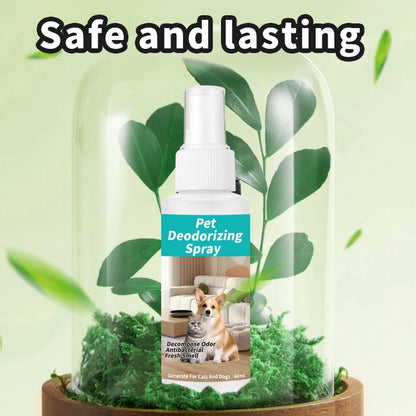 the DEORDORANT SPRAY - Portable Pet Deodorant, Green Tea Fragrance Spray, Bactericidal Deodorant, Non-Pungent Deodorant Dog and Cat Urine Spray