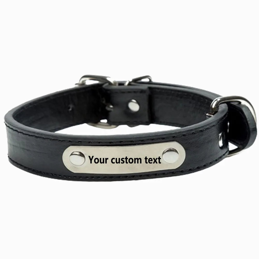 the NAMESAFE EVERYDAY ID COLLAR - Custom Personalized Dog Collar with Name Engraved ID, Anti-Loss Solid PU Leather for All Types of Puppies and Kittens, Pet Supplies