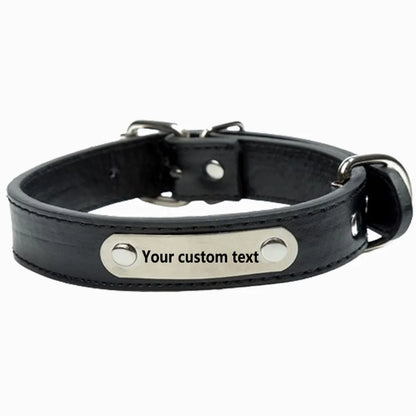 the NAMESAFE EVERYDAY ID COLLAR - Custom Personalized Dog Collar with Name Engraved ID, Anti-Loss Solid PU Leather for All Types of Puppies and Kittens, Pet Supplies