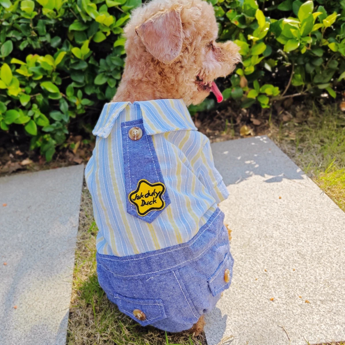 Summer Striped French Bulldog Overall Fashion Dog Jumpsuit Pants With Pocket For Small Medium Puppy Animal S XXXL Pugs Costume