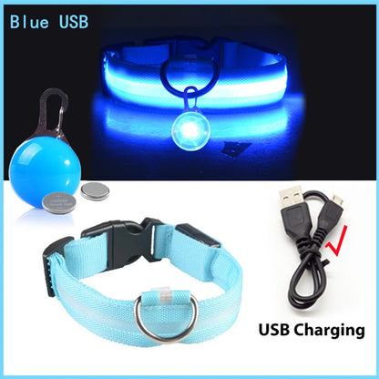 the LUXEGLOW LED SAFTERY COLLAR - USB Charging Glowing Dog Collar with Pendant, Detachable Luxury LED Light, Bright for Small Dogs/Cats, Night Safety Collar