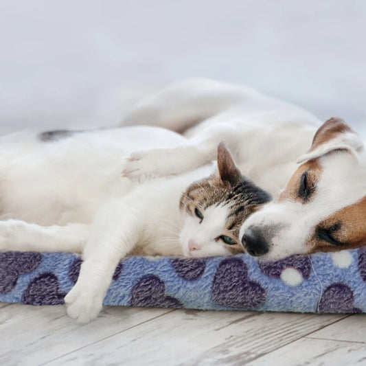 2Pcs Pet Mat Sleep Blanket Cushion Bed Nest Soft Warm Sleeping Pad for Dogs Cats Indoor Outdoor Resting Comfortable Mattress