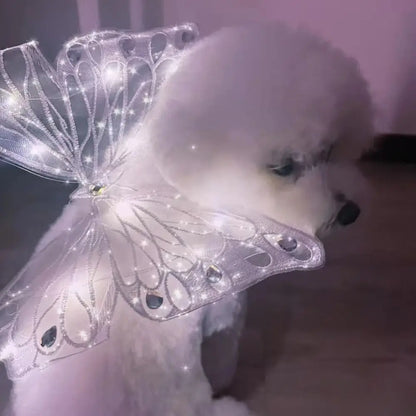 the ANGEL WINGS - Cute Glowing Dog Wing Butterfly for Small/Medium Dog Clothes, Sweet Gift Pet Back Decoration