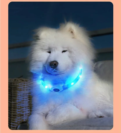 the NIGHTBEAM GLOW COLLAR - New Led Luminous Dog Collar, PVC Waterproof for Large/Medium/Small Dogs, Collar USB Light Night Safety, Pet Glowing Accessories