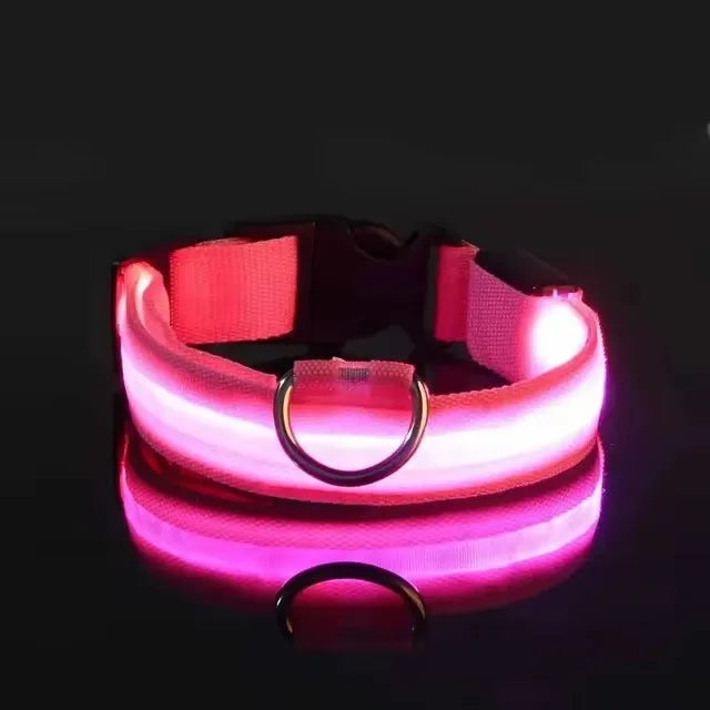 the GLOWTRAIL NIGHT COLLAR - BOOTEELY Nylon LED Night Safety Flashing Glow-in-the-Dark Dog Collar, Dogs Luminous Fluorescent Pet Dog Collar