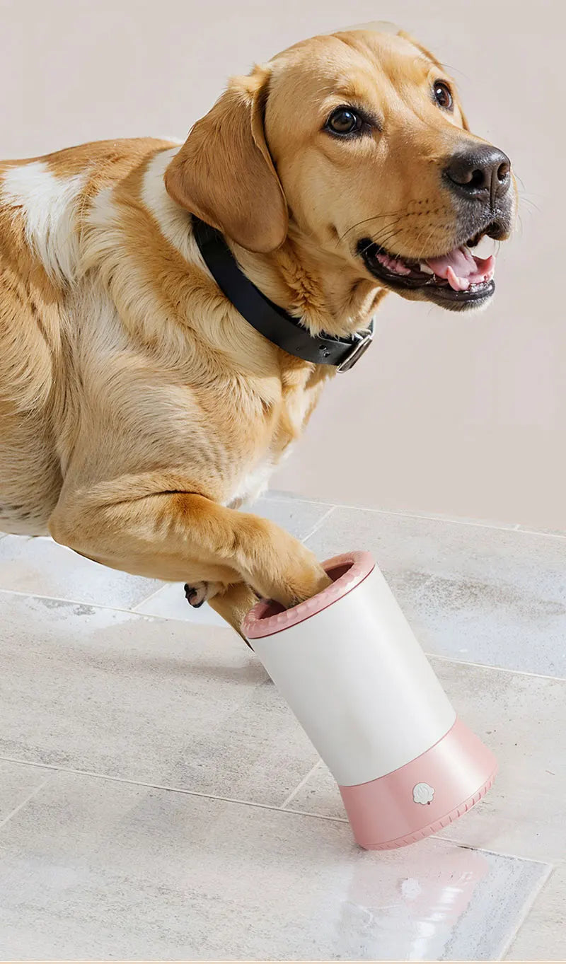 the PAW WASHER - Electric Pet Paw Washer Cup, Portable Dog Paw Cleaner, Portable Foot Washer Cup, Comfortable Foot Cleaning Machine, Dog Brushes