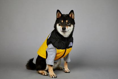 Dog Fans Punch Large Dogs Winter Warm Raincoat Anti Pet Cotton Clothing Windproof Rainproof Dog Coat