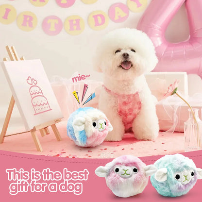 Pet dog toys, plush prickly balls, squeaking sounds, cute alpaca teeth grinding, accompanying various dogs of all sizes
