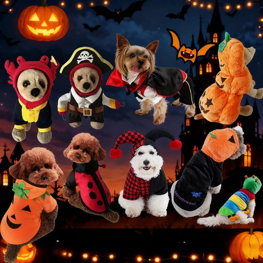 Pet Clothes Halloween Funny Pumpkin  Pirate Transformation Cat Small Dog Transformation Dress Photo Dog Clothes Pet Supplies