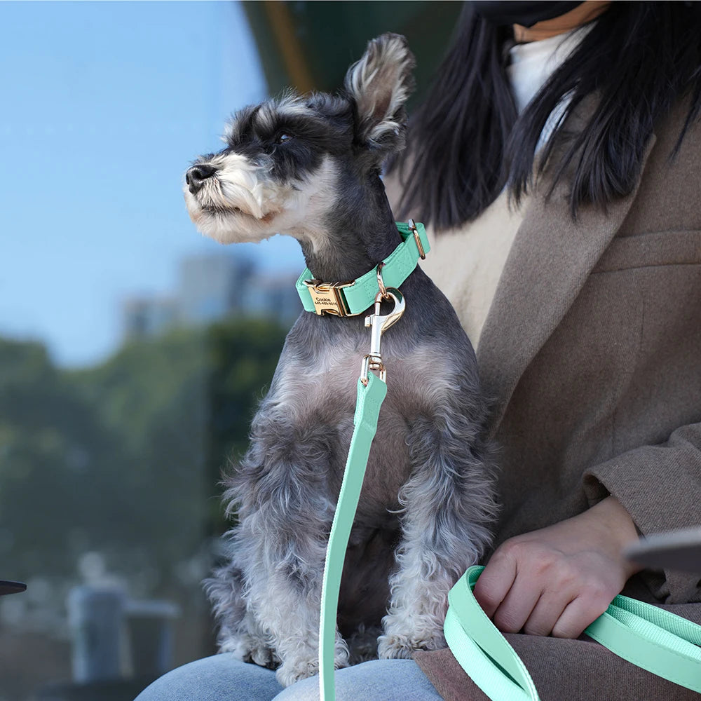 the MY NAME MY PAWS CUSTOM SET - Personalized Dog Collar/Leash Set, Custom PU Leather Dog Buckle Collars/Necklace, Pet Walking Leash for Small/Medium Dogs, Pitbull