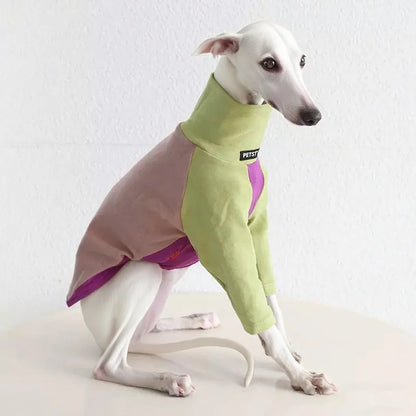 8colors Italian Greyhound Hound Two-Legged Clothes Fashionable Multicolor Soft Comfortable Elastic Fashion Patchwork Dog Clothes