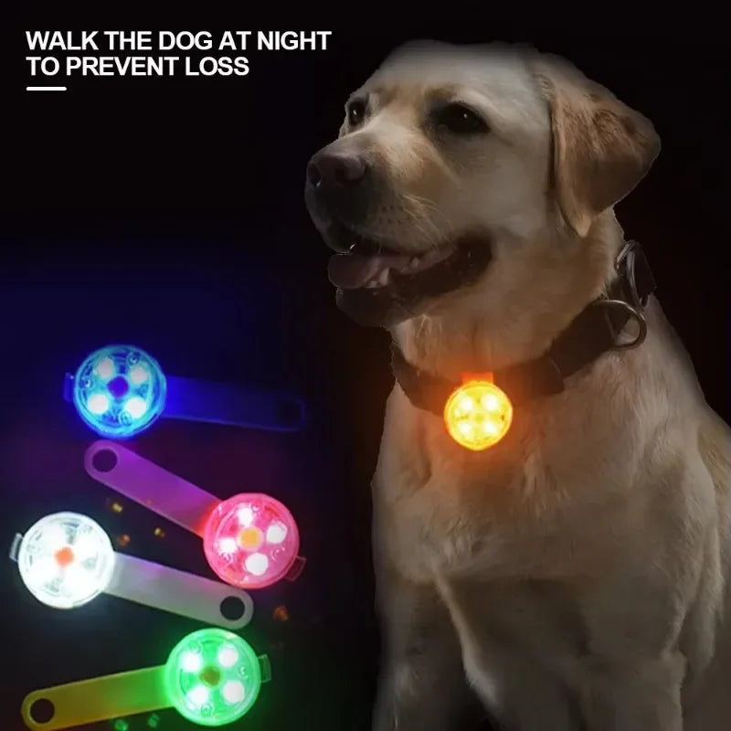 the LUMIPAWS RECHARGEABLE SAFETY LIGHT - LED Pet Tracking Luminous Pendant, Bright Light Dogs, Collars Dog Wear, Loss, Weatherproof LED Safety Light, USB Rechargeable Safety