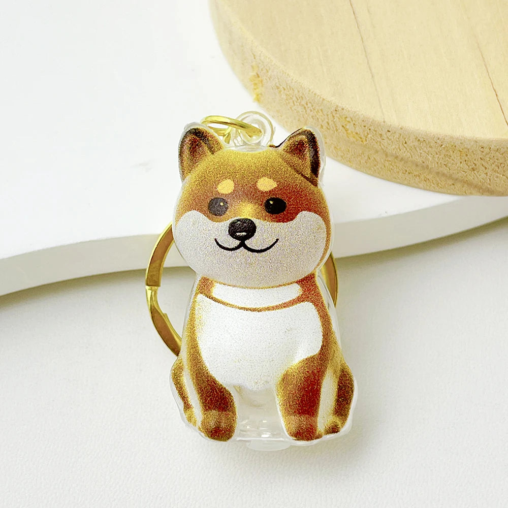 5pcs Dog Hair Storage Keyring Cute Pet Transparent Keychain Bag Car Interior Decoration Pendant Souvenir For Family Members