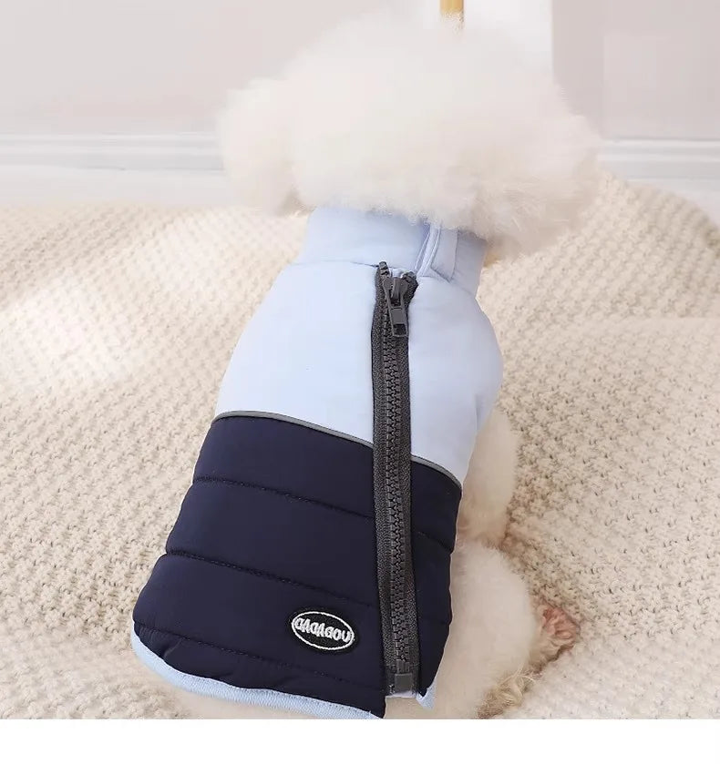 The Dog's Clothes Are A Small Cotton Vest with A Zipper, Similar To A Yorkshire Terrier or Dachshund Pet Clothing.