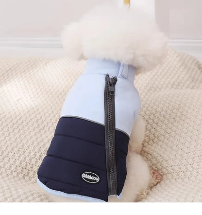 The Dog's Clothes Are A Small Cotton Vest with A Zipper, Similar To A Yorkshire Terrier or Dachshund Pet Clothing.