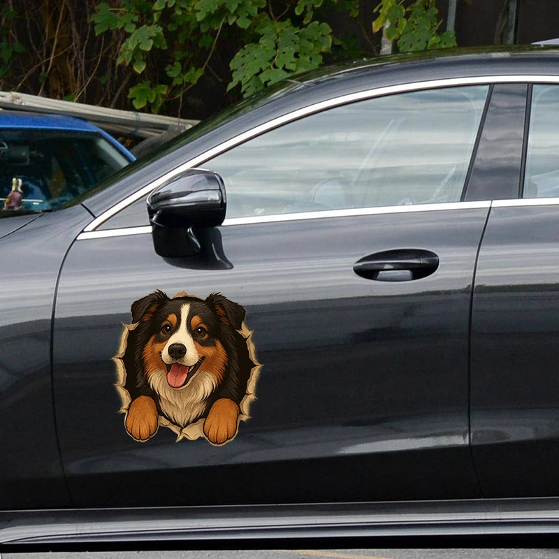 Australian Shepherd Car Sticker – Funny Peeking Dog Vinyl Decal, Waterproof Pet Lover Decoration for Vehicles,window,wall