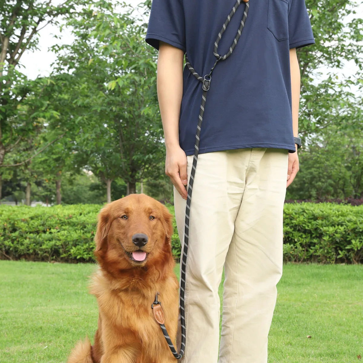 the ACTIVEGLOW HANDS-FREE LEASH - Dog Leash Hands Free Leashes for Dog Walking, Adjustable Dogs Leash, Reflective Dogs Chain Multi-Functional Traction Rope 230cm