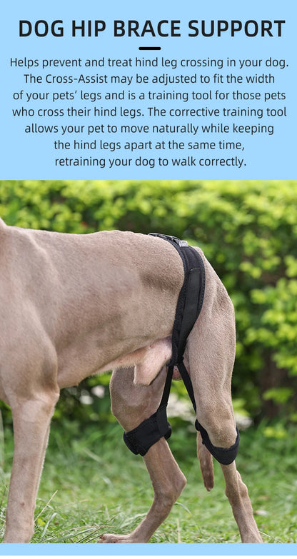 Pets Dogs High Quality Hind Leg Guard Recovery Orthodontic Band for Pet Dog Protective Hip Joint Correction Restore Pet Supplies