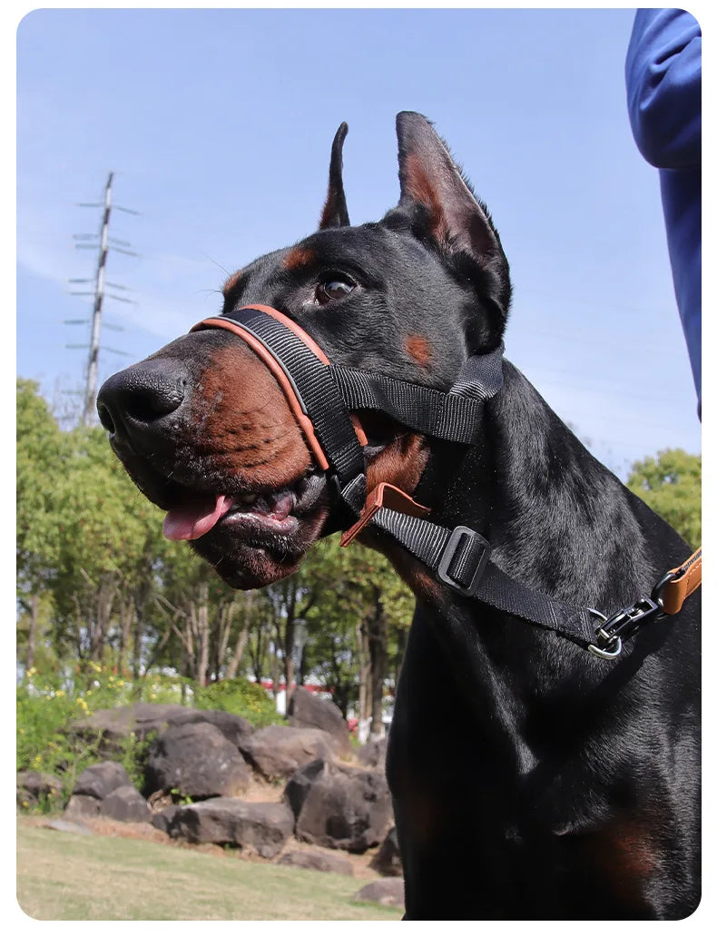 the MUZZLE STRAP - Dog Muzzle for Large/Medium Dogs – Anti-Bite, Anti-Bark Adjustable Pet Mouth Mask with Leash Loop, Training Walking Nylon Muzzle