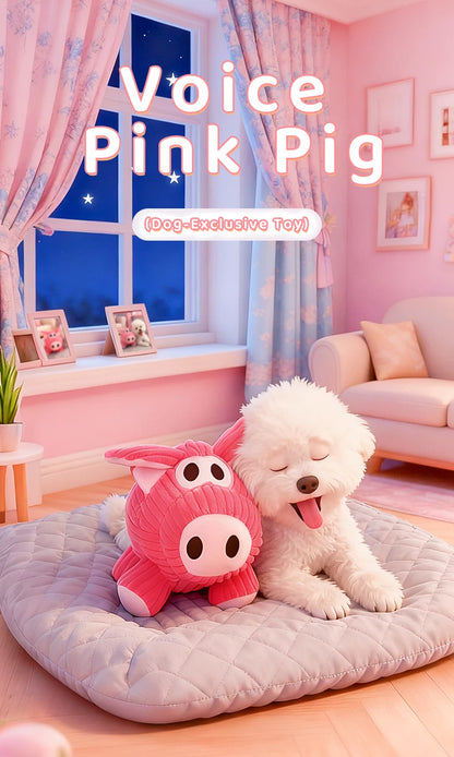 HOOPET Plush Squeaky Dog Toys with Crackling Paper Sound, Chew Resistant Soft Puppy Chew Toys for Boredom Relief