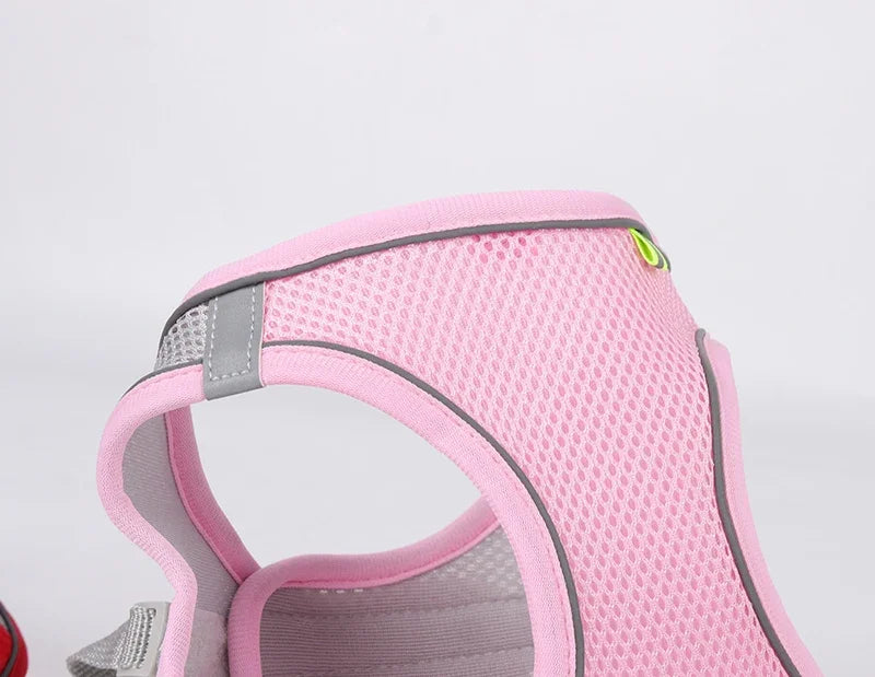 the TINYTREK HARNESS SET - Puppy Harness Set, Dog Accessories, Adjustable Puppy and Cat Harness Vest, French Bulldog, Chihuahua, Small Dog Collar, Pet Leash Dogs