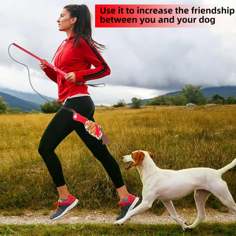 Interactive Flirt Pole Toy Puppy Wand Rope to Chases and Tug of War Durable Teaser Wand with Nylon Rope Tether Lure Toy for Dogs