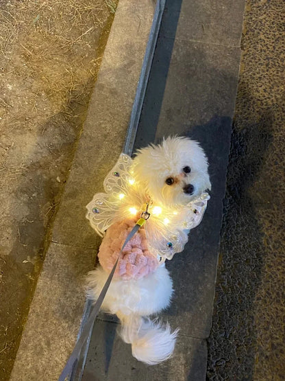 Dog wings glowing butterfly back decoration puppy summer clothes chest back decoration small dog Pomeranian Teddy Bigbear