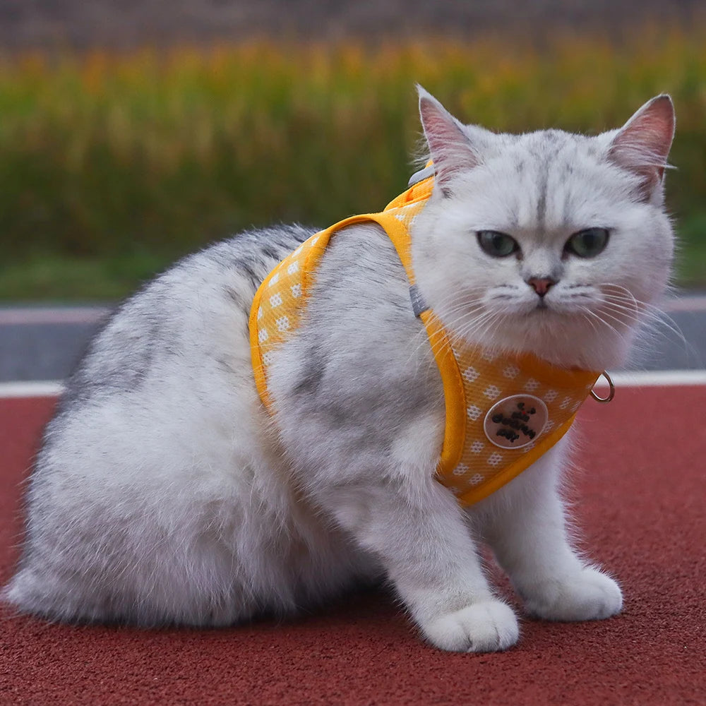 the PLAIDBUDDY HARNESS - Puppy/Kitten Chest Strap, Fresh Plaid Kitten/Puppy Leash, Anti-Break Adjustable Reflective Pet Chest Strap, Small Dog/Kitten Chest