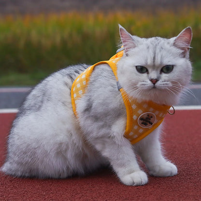 the PLAIDBUDDY HARNESS - Puppy/Kitten Chest Strap, Fresh Plaid Kitten/Puppy Leash, Anti-Break Adjustable Reflective Pet Chest Strap, Small Dog/Kitten Chest