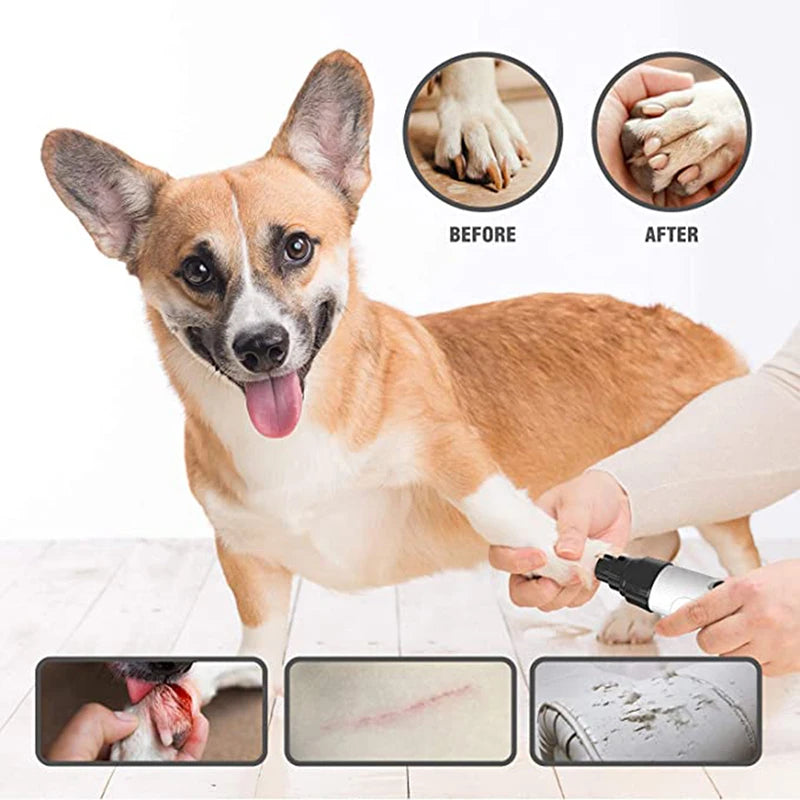 CDDMPET Pet Dog Cat Nail Clippers USB Charging Dog Nail Grinders Electric Dogs Cat Paws Nail Grooming Trimmer Accessories