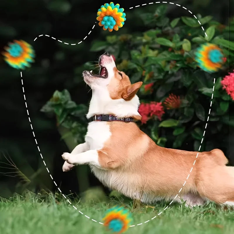 TPR Pet Dog Chew Toy Bite-Resistant Pet Ball Toy for Small Medium Dogs Durable Puppy Teeth Grinding Cleaning Toys Dog Accessorie