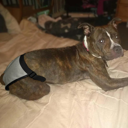 the DOGGY DIAPER - Female Dog Nappies with 8 Sanitary Pad for Bleeding, Physiological Washable Nappies, Anti-Male Dogs Harass Pants