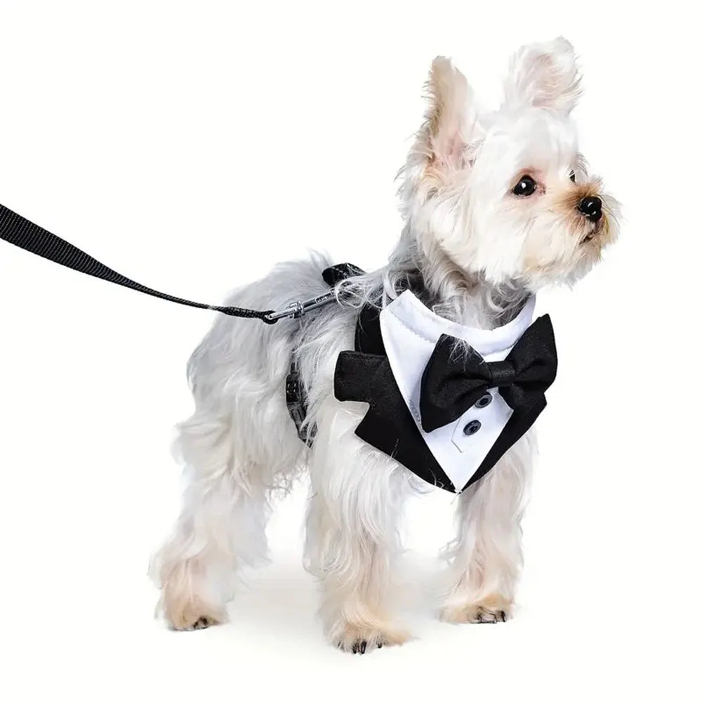 the DON JUAN DOG - Dog Tuxedo Costume, Formal Shirt Dog Wedding Black Jacket Suit, Pet Puppy Prince Ceremony Bow Tie Suit Small Dogs Cat Vest Clothes