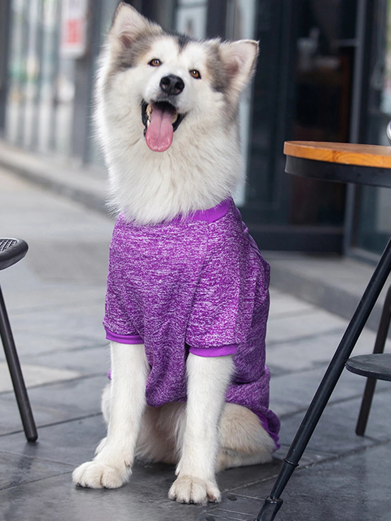 Dog Sweatshirts For Medium and Large Pet Golden Satsuma Huskies Border Collies Autumn and Winter Clothes Pet Supplies Clothing