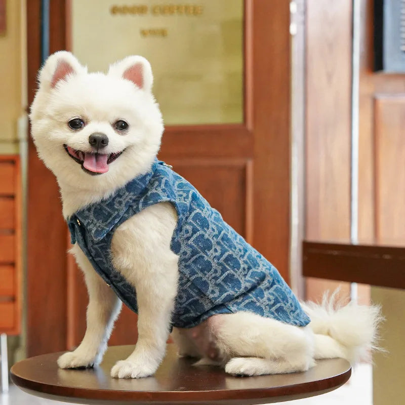 Pet Clothing Dog Autumn and Winter Denim JeanThickened Windproof Coat Puppy Costume For Small Medium Dogs Pet Jacket Wholesale